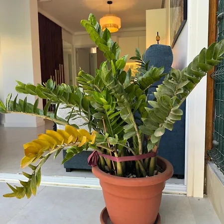 Diana Prázdninový dům Maspalomas (Gran Canaria)